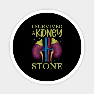 I have survived a kidney stone Magnet